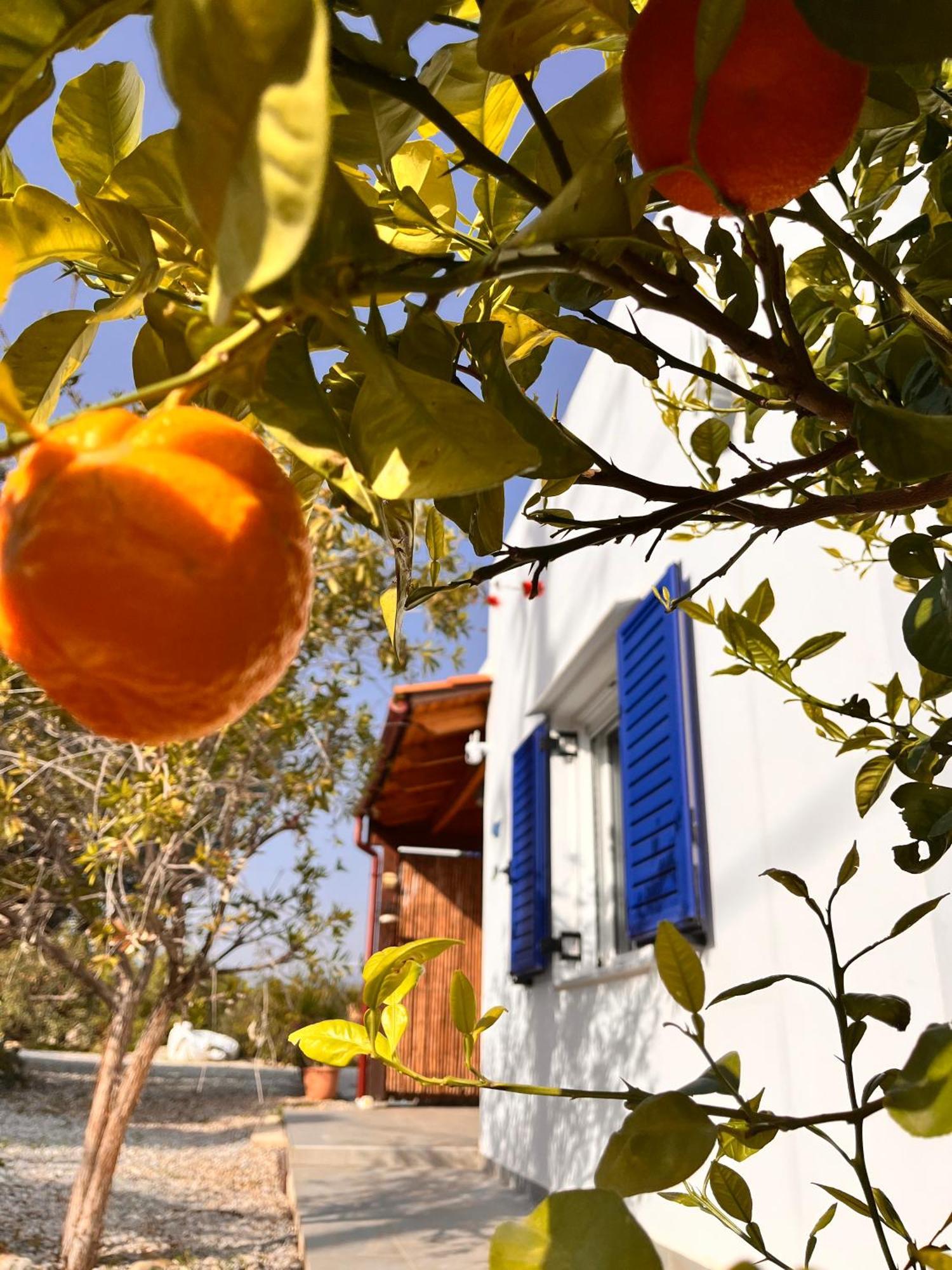 Villa Francesca Agia Galini Dış mekan fotoğraf