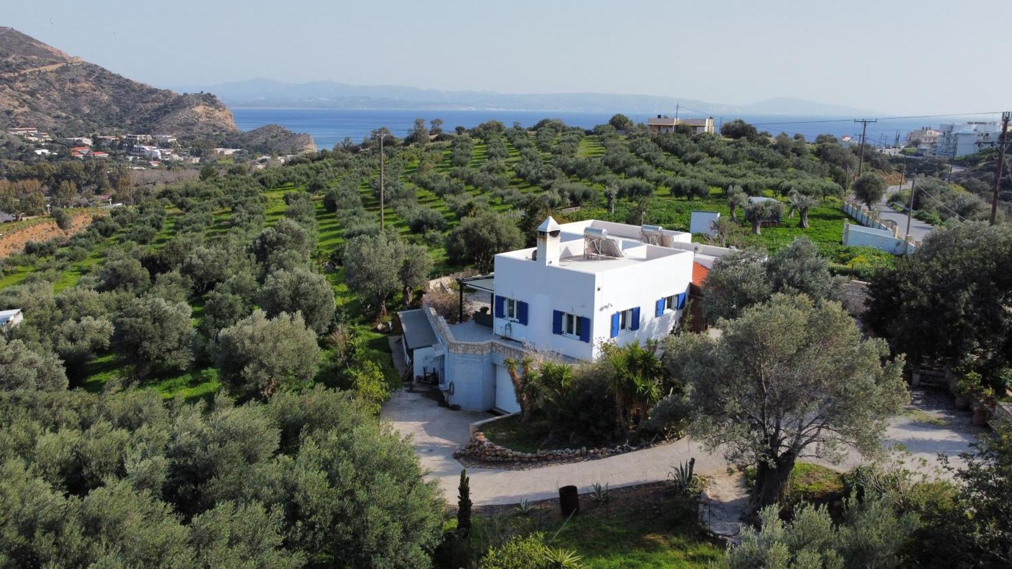 Villa Francesca Agia Galini Dış mekan fotoğraf
